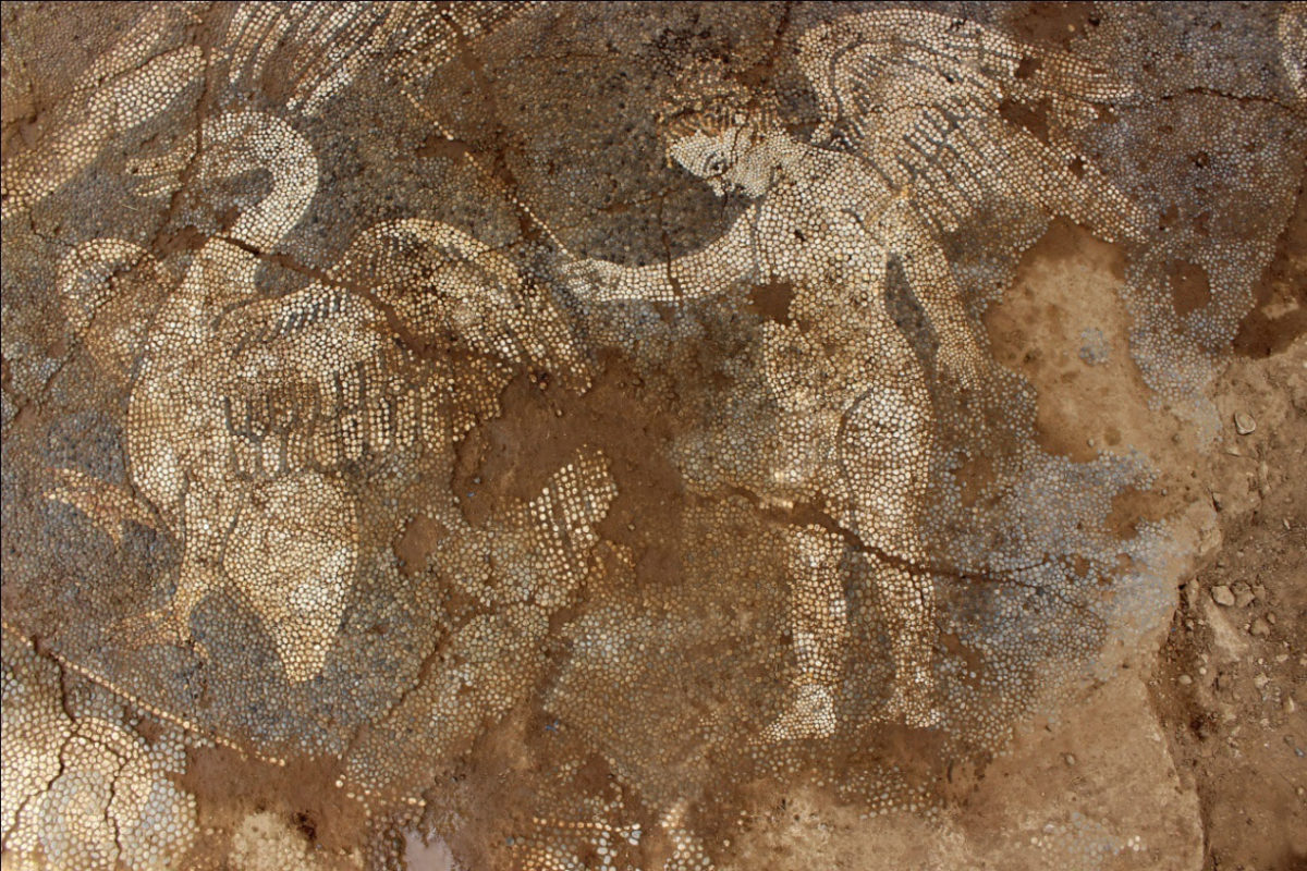 Τμήμα του βοτσαλωτού δαπέδου που αποκαλύφθηκε τον Αύγουστο του 2018 στην πόλη της Άρτας.