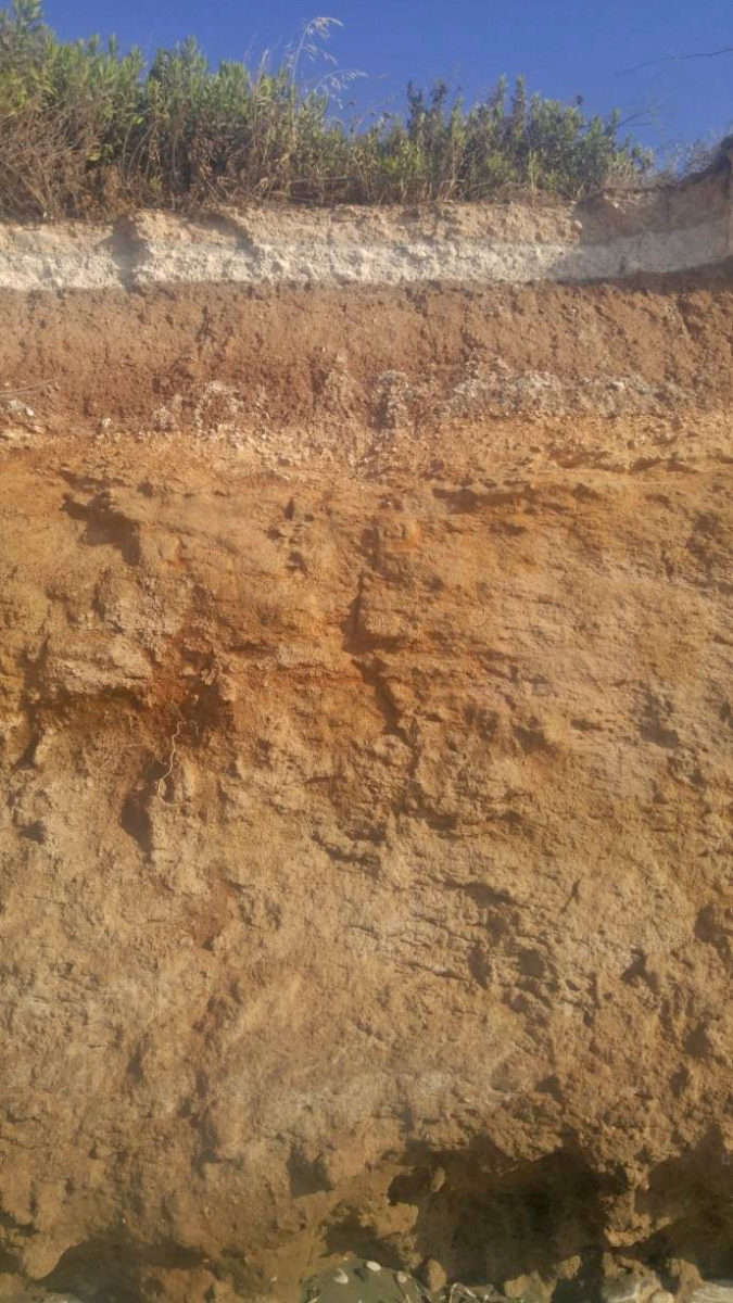 Τομές στην παραλία δυτικά του Τρέμιθου, με εμφανή παλαιοεδάφη με μικρολιθικά αντικείμενα κατά χώραν (φωτ.: Τμήμα Αρχαιοτήτων Κύπρου).