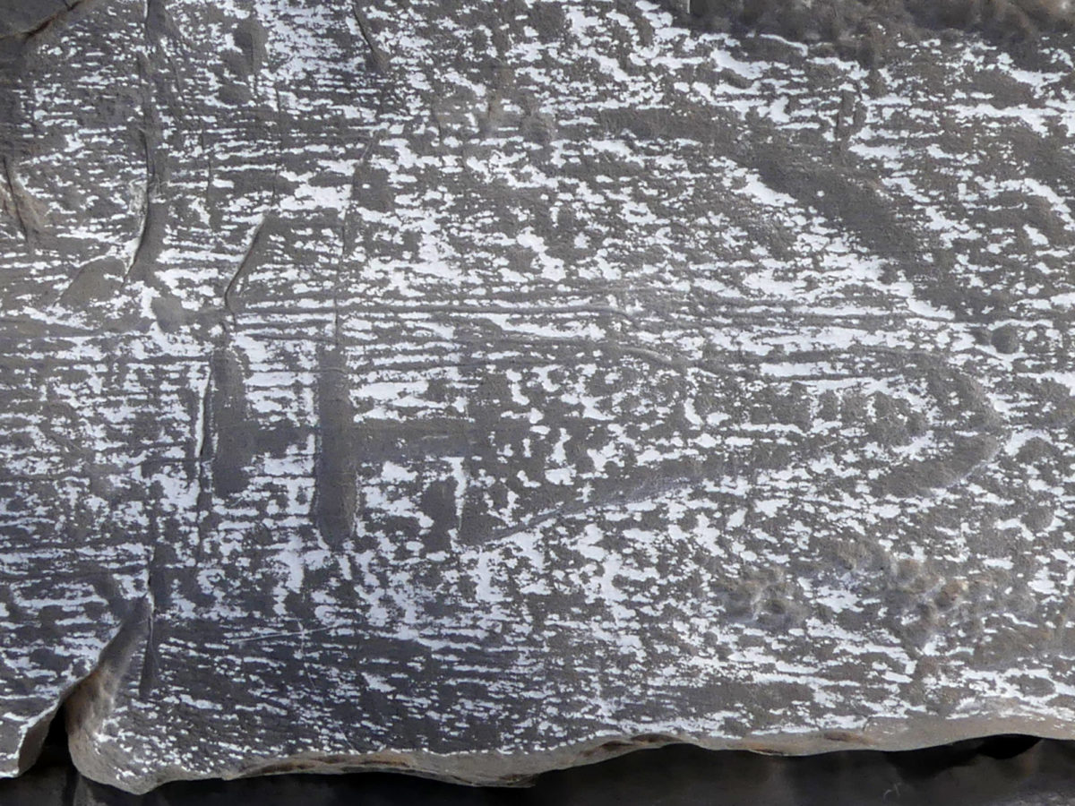 Εγχειρίδιο σε βραχογραφία στην ακρόπολη.