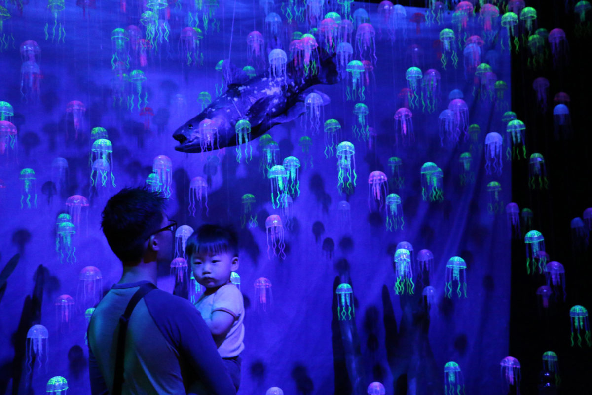 Δεινόσαυροι και τέρατα των θαλασσών στον «Ελληνικό Κόσμο»