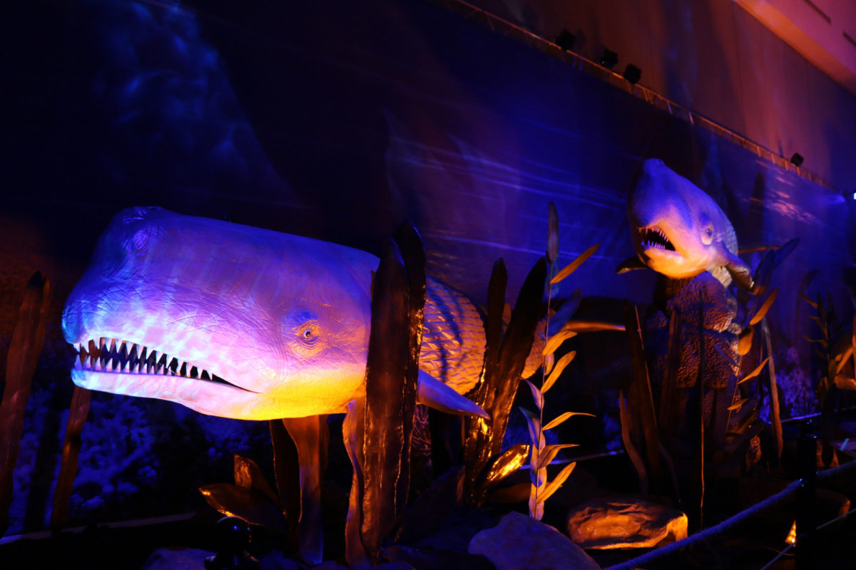 Από την έκθεση «Δεινόσαυροι και τέρατα των θαλασσών» που θα φιλοξενηθεί στον «Ελληνικό Κόσμο».