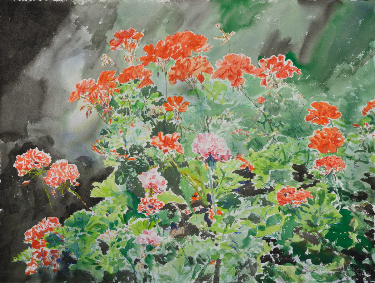 Nicholas Egon, «Geraniums».