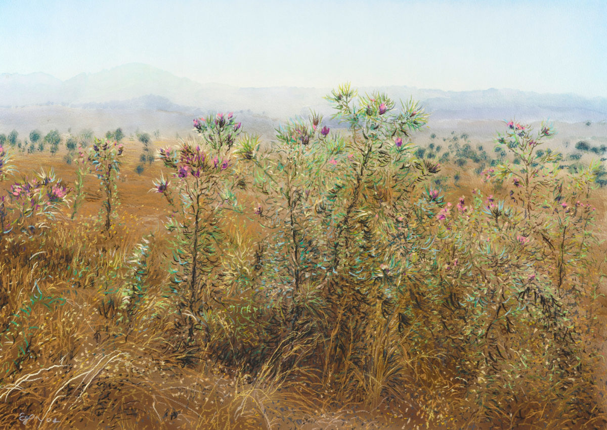 Nicholas Egon – 22 Άνθη για το Μουσείο Μπενάκη