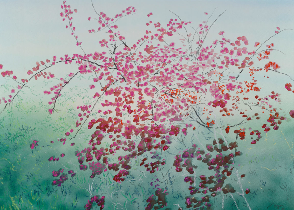 Nicholas Egon, «Bougainvillea».
