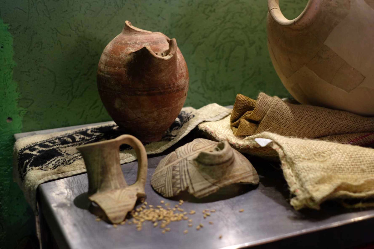 Η μαγιά που χρησιμοποιήθηκε βρέθηκε στον πάτο αρχαίων δοχείων που είχαν αποκαλυφθεί σε διάφορες αρχαιολογικές τοποθεσίες στο Ισραήλ. Φωτ.: Judah Ari Gross/Times of Israel.