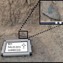 Τα πρώτα λίθινα εργαλεία εφευρέθηκαν πολλές φορές σε διαφορετικά μέρη