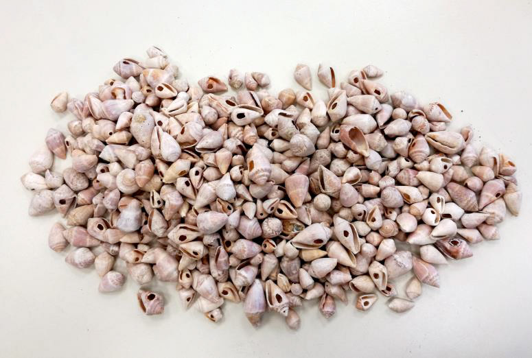 Ένα ασυνήθιστο εύρημα και σκέψεις για τα επιτραπέζια παιχνίδια στη Μυκηναϊκή εποχή