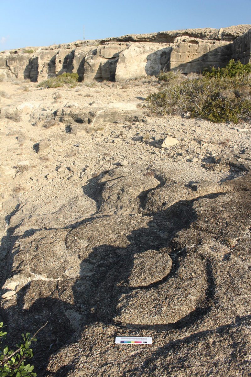 Το σύμπλεγμα των λατομείων. Ακρωτήρι-Νησιαρούιν (Dreamer’s Bay). Φωτ.: Τμήμα Αρχαιοτήτων Κύπρου.