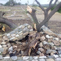 Αποκατάσταση ζημιών στη Χαλκιδική