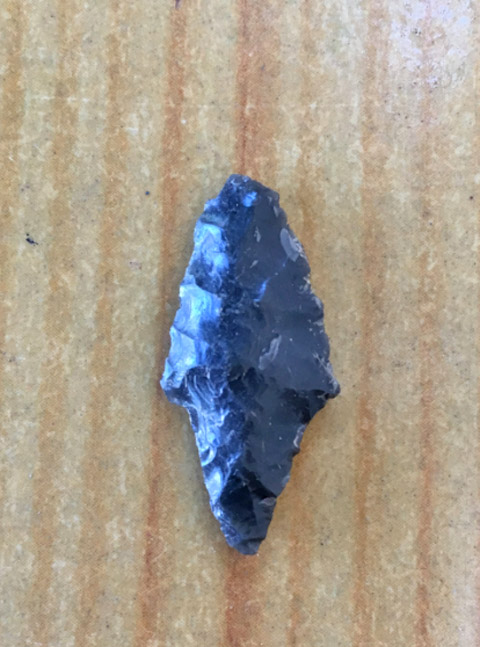 Προϊστορικός οικισμός αποκαλύπτεται στα περίχωρα της Καρύστου