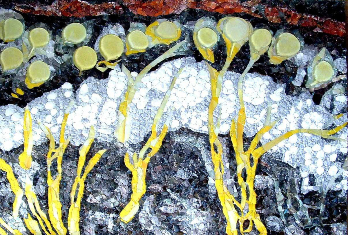 «Λεμονιές», 2008, σμάλτο, μάρμαρο και φυσικές πέτρες σε ξύλο (© Tímea Karkiss, ευγενής παραχώρηση της ίδιας).