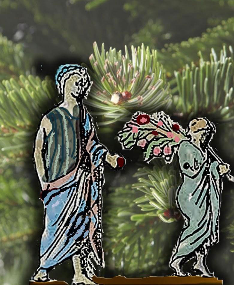 Στόλιζαν δέντρο οι αρχαίοι;