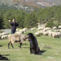 Άυλη πολιτιστική κληρονομιά η μετακινούμενη κτηνοτροφία και η βυζαντινή μουσική