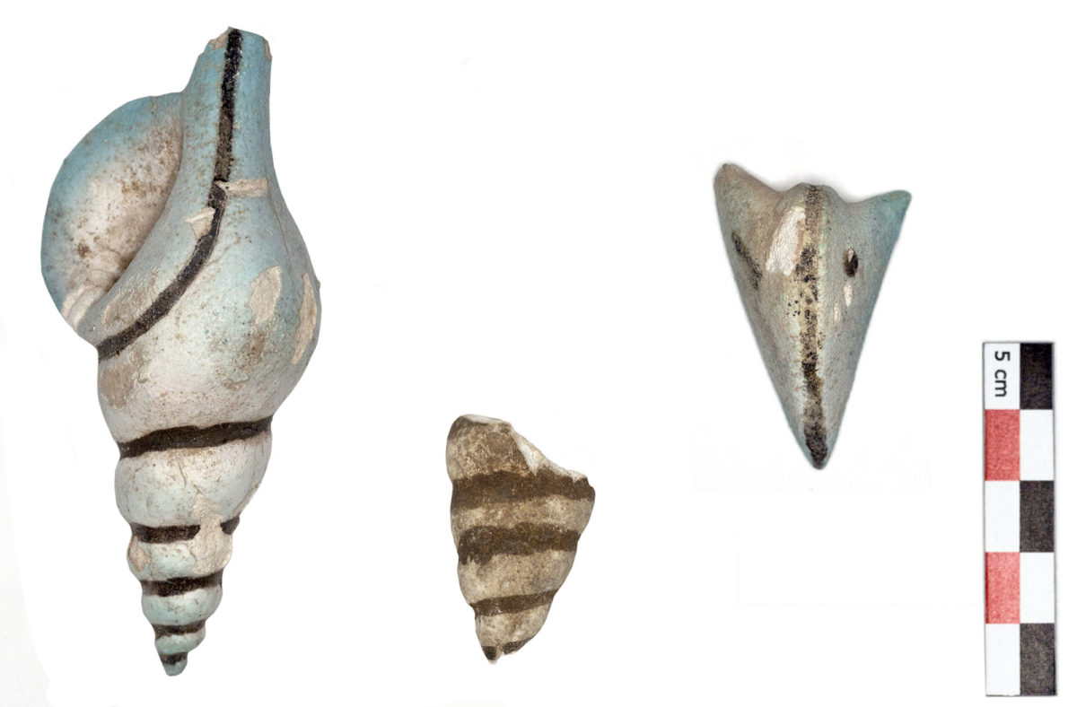 Εικ. 5. «Οικία των Θρανίων», Χώρος 1. Ομοιώματα τρίτωνα και ναυτίλου από φαγεντιανή (φωτ.: ΥΠΠΟΑ).