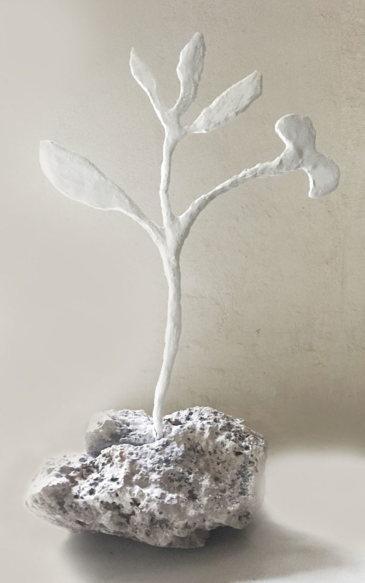 Έργο του Stephen McClymont από την έκθεση «Καταστροφή και αναδημιουργία - Κύκλοι Ζωής» (© Stephen McClymont, ευγενής παραχώρηση του ιδίου).