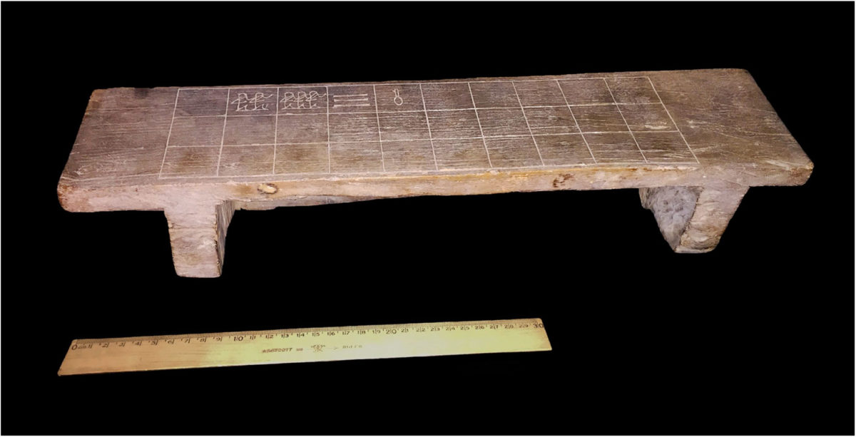 Ανακαλύφθηκε «χαμένος κρίκος» στην εξέλιξη του σενέτ