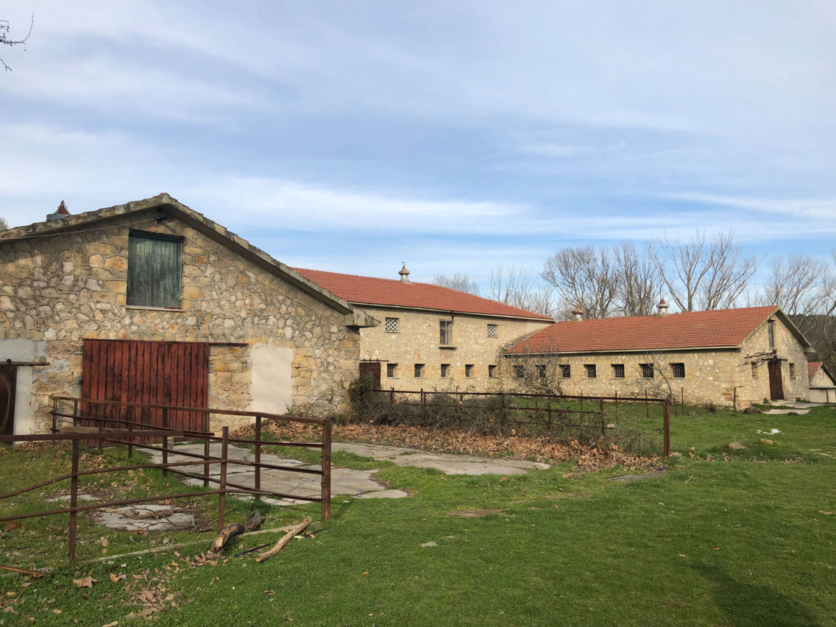 Οι στάβλοι στο Τατόι (φωτ.: ΥΠΠΟΑ).