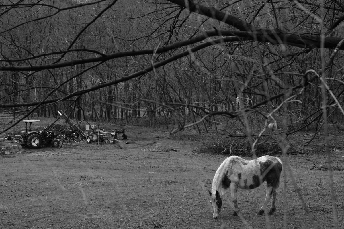 Tο βραβευμένο θεατρικό ντουέτο 600 HIGHWAYMEN  δημιούργησε ένα ιδιότυπο road-movie για τον καιρό της καραντίνας (φωτ.: Ίδρυμα Ωνάση).