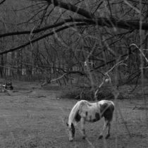 «ENTER»: έργα τέχνης φτιαγμένα από το σπίτι σε 120 ώρες