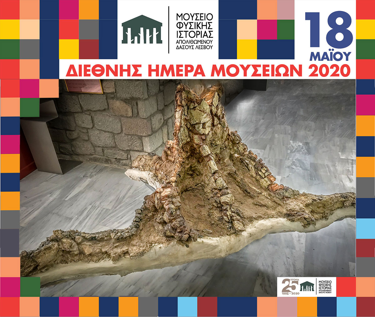 Ένας απολιθωμένος κορμός ηλικίας 18 εκατομμυρίων ετών