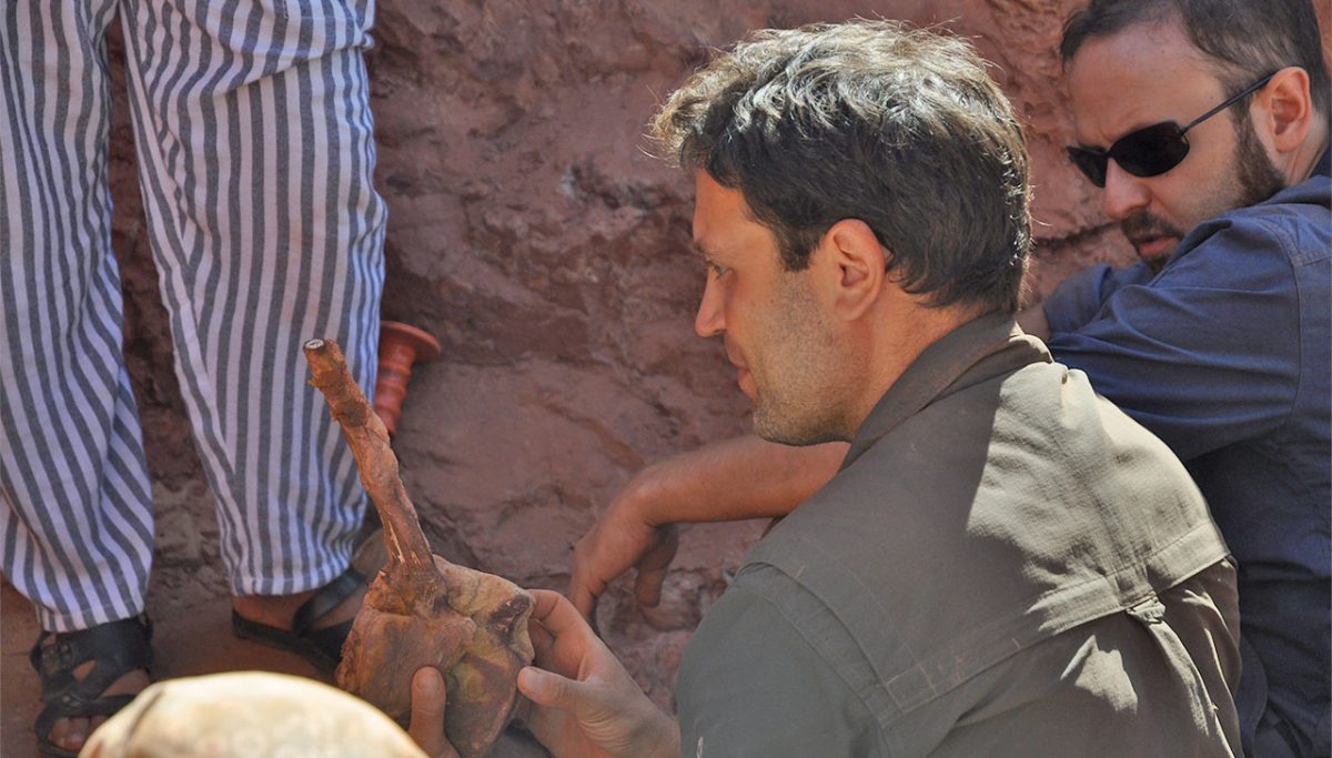 Οι ερευνητές βρήκαν στο νοτιοανατολικό Μαρόκο απολιθώματα οστών της μακριάς ουράς του Σπινόσαυρου (φωτ.: University of Detroit Mercy).