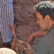 Σπινόσαυρος: ο πρώτος δεινόσαυρος που κολυμπούσε