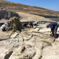 Λέσβος: Σωστικές επεμβάσεις για την προστασία απολιθωμάτων