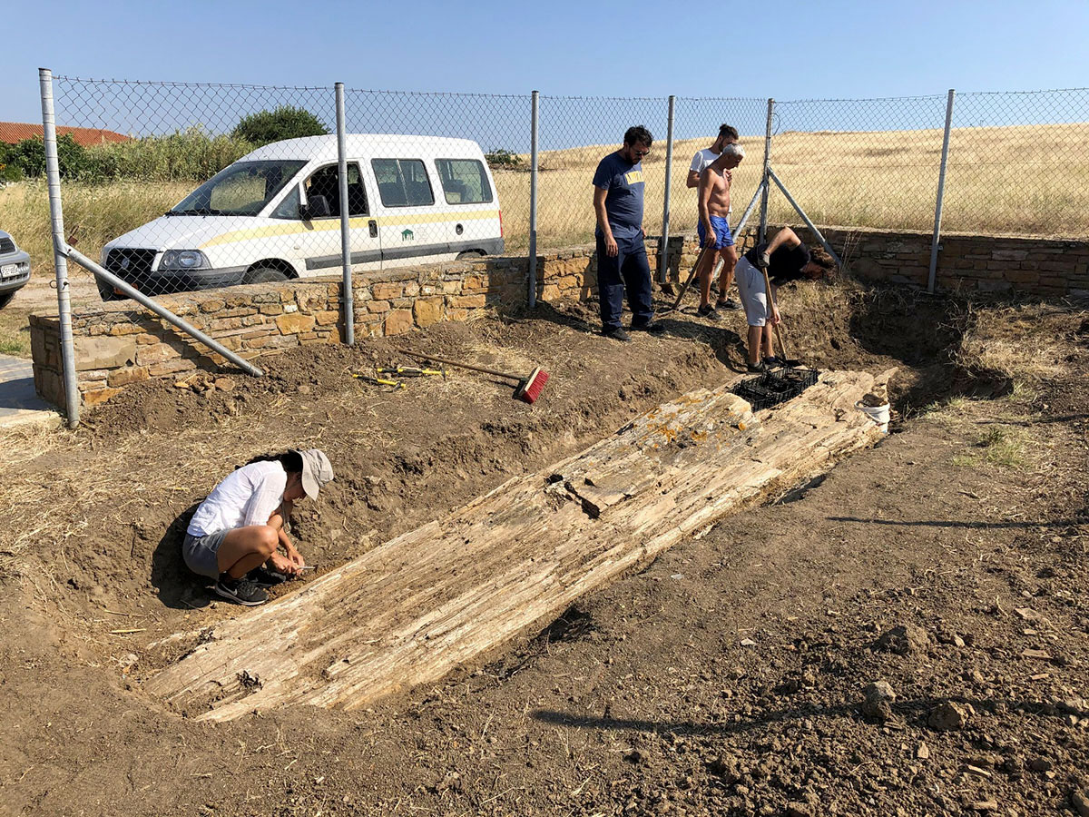 Γιγάντιος κορμός απολιθωμένου δέντρου βρέθηκε στη Λήμνο