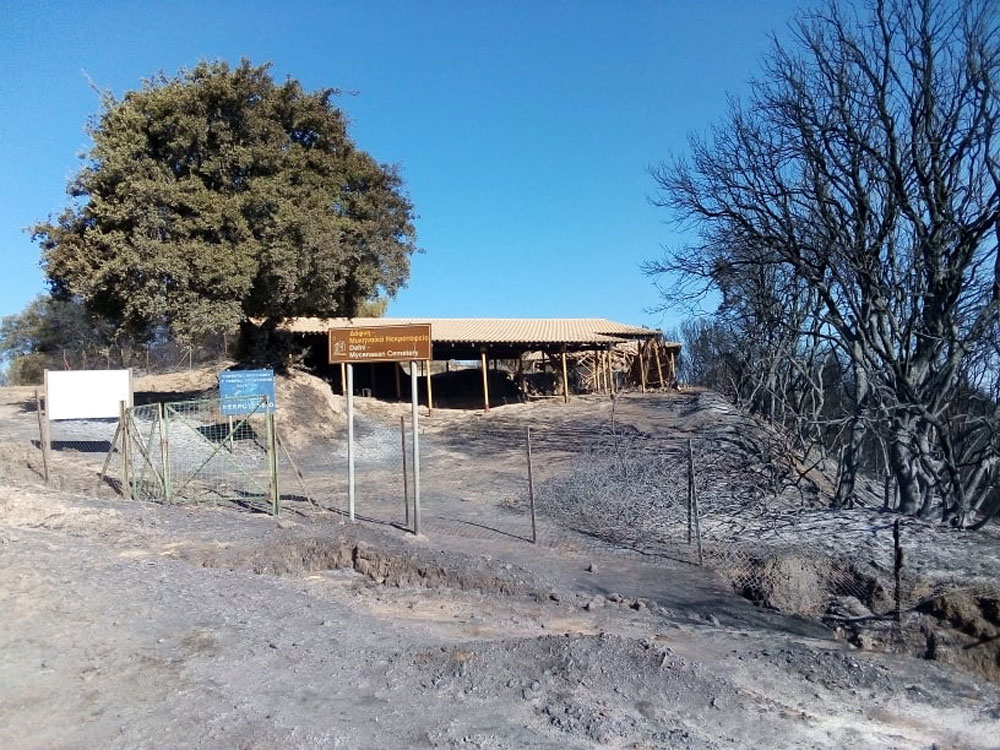 Μυκηναϊκό νεκροταφείο Δάφνης Δήμου Ήλιδας