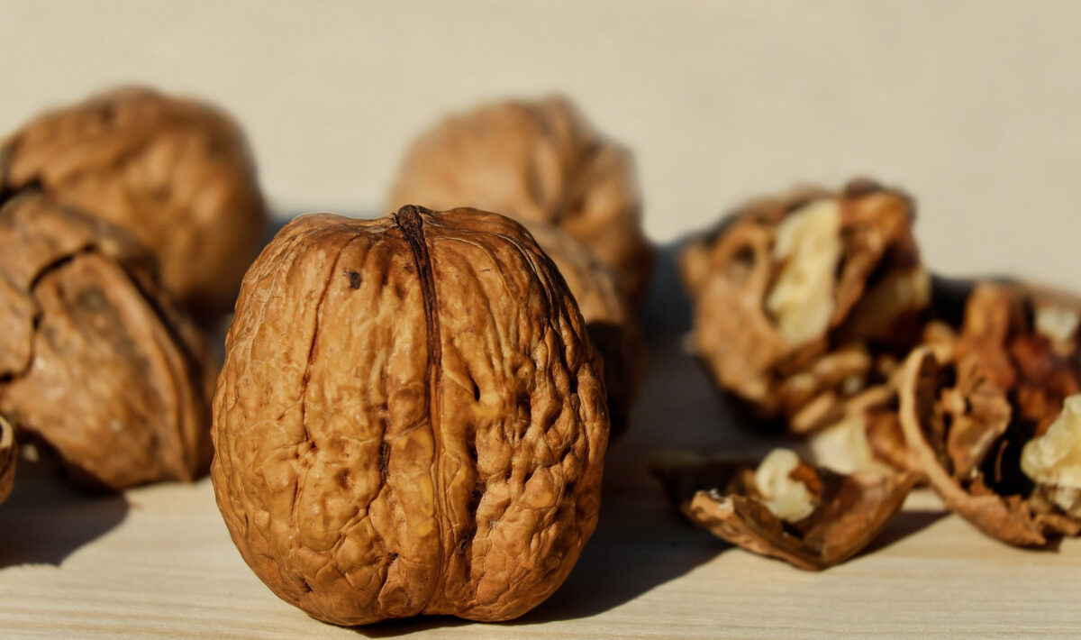 Η διατροφή στην Προϊστορική περίοδο