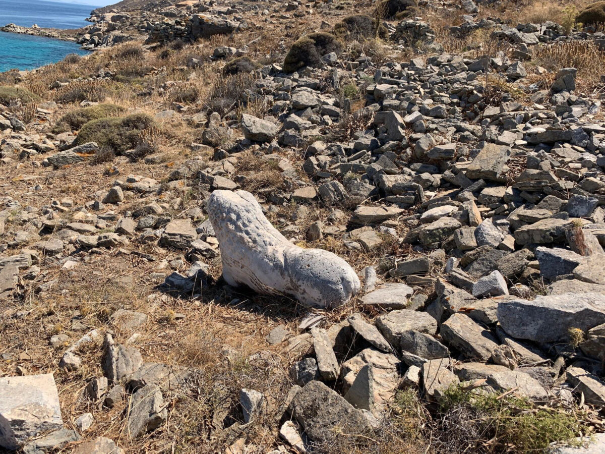 Ταφικός λέων ανάμεσα στα ερείπια κατασκευών της δηλιακής νεκρόπολης στη Ρήνεια (φωτ.: ΥΠΠΟΑ).