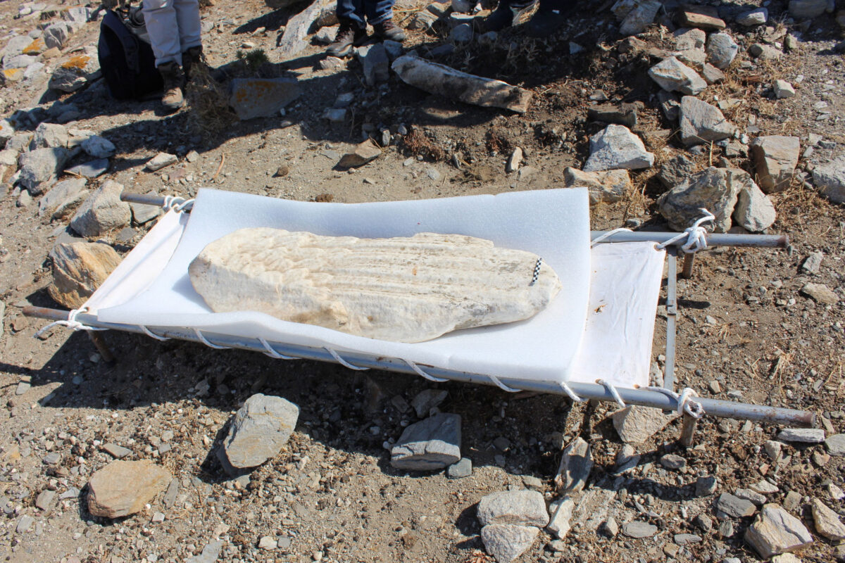 Τμήμα από φτερό μεγάλου πτηνού που εντοπίστηκε στην κορυφή του λόφου Χωμασοβούνι (φωτ.: ΥΠΠΟΑ).