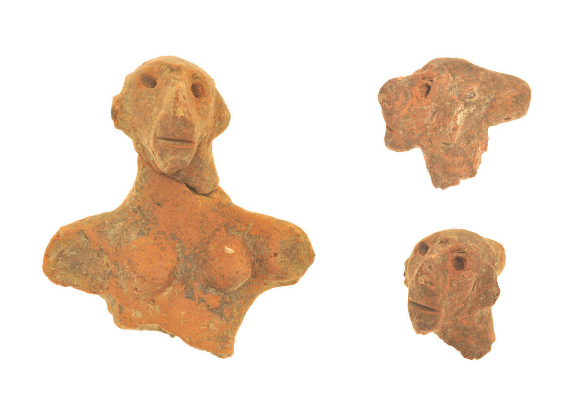 Στο ιερό της Παλαιοανακτορικής περιόδου αποκαλύφθηκαν αποσπασματικά ειδώλια ανθρώπων και ζώων. Μεταξύ αυτών και ένα ωραίο, γυναικείο ειδώλιο, που ονομάστηκε «Κυρά της Ζώμινθος» (φωτ.: ΥΠΠΟΑ).