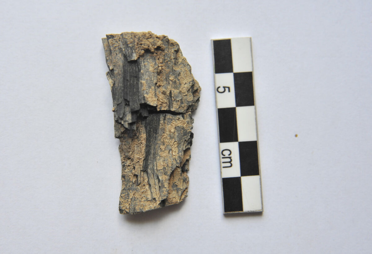 Ζώμινθος: Κάτω από το λίθινο στρώμα του βωμού, βρέθηκε τμήμα καμένου ξύλου, στο οποίο ήταν είτε προσκολλημένα είτε διεσπαρμένα γύρω από αυτό πλήθος από μικρά, χρυσά ελάσματα (φωτ.: ΥΠΠΟΑ).