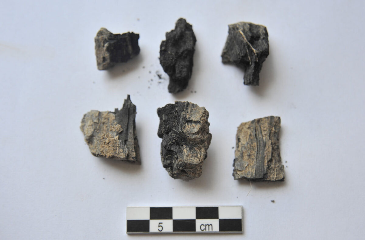 Ζώμινθος: Κάτω από το λίθινο στρώμα του βωμού, βρέθηκε τμήμα καμένου ξύλου, στο οποίο ήταν είτε προσκολλημένα είτε διεσπαρμένα γύρω από αυτό πλήθος από μικρά, χρυσά ελάσματα (φωτ.: ΥΠΠΟΑ).