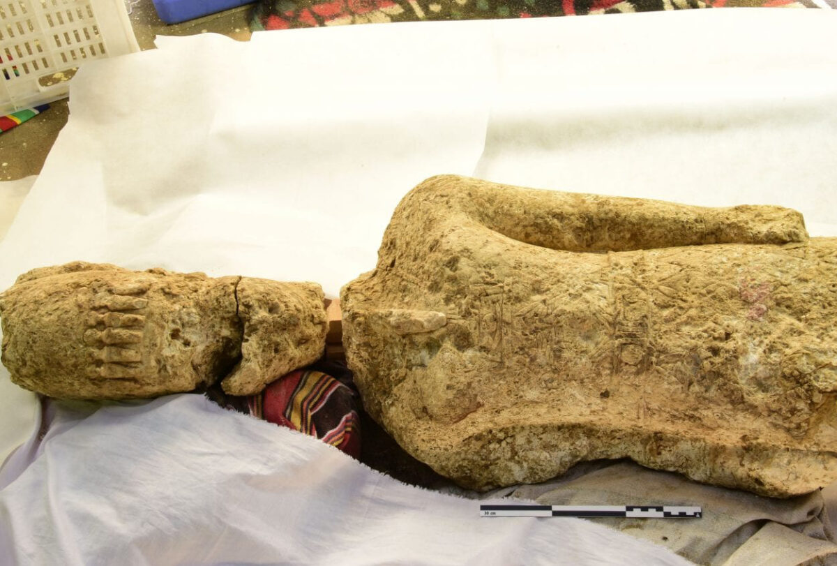 Άγαλμα που βρέθηκε στη Βερενίκη. Φωτογραφία: K. Braulinska