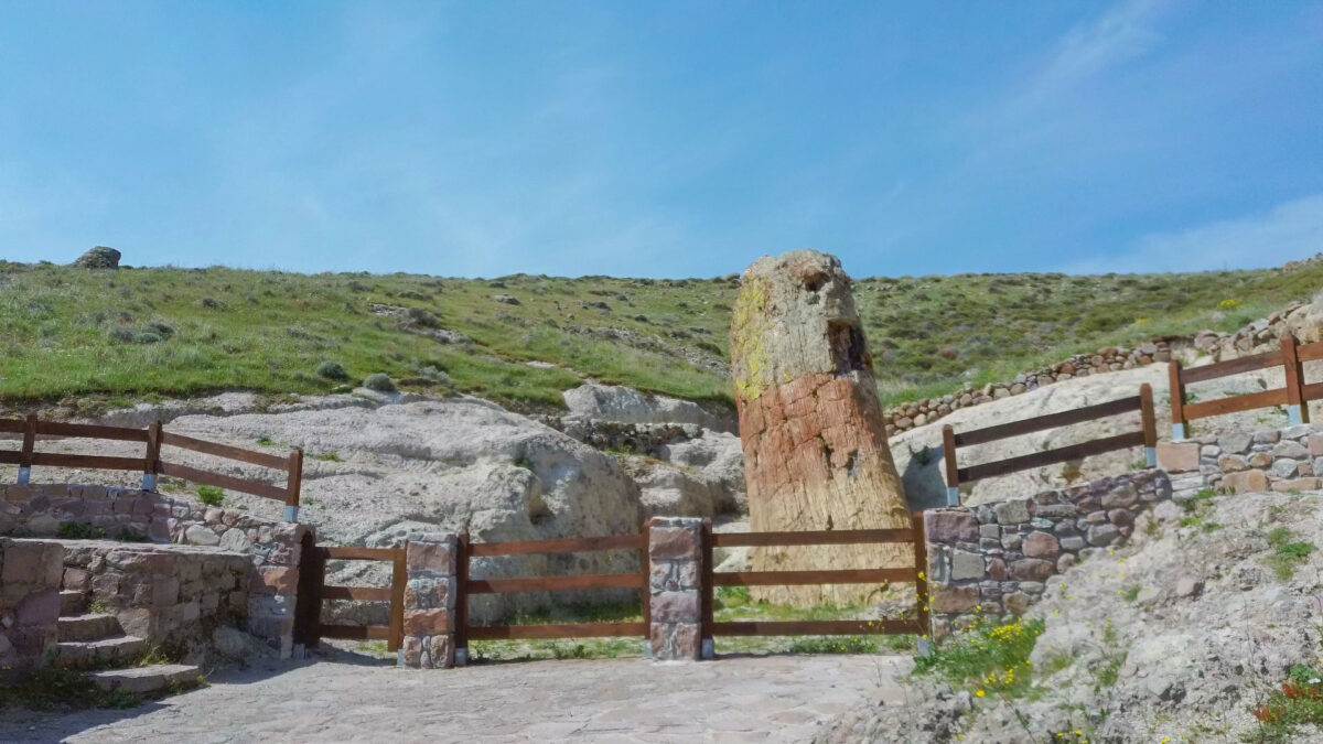 Στο Απολιθωμένο Δάσος Λέσβου (φωτ.: Μουσείο Φυσικής Ιστορίας Απολιθωμένου Δάσους Λέσβου).