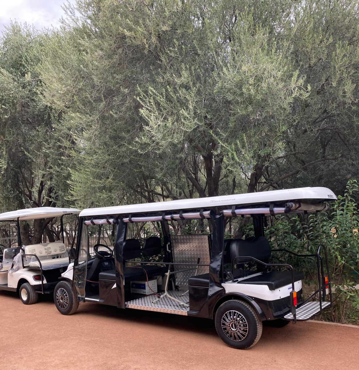 Τα οχήματα τύπου Golf Cart (φωτ.: ΥΠΠΟΑ).