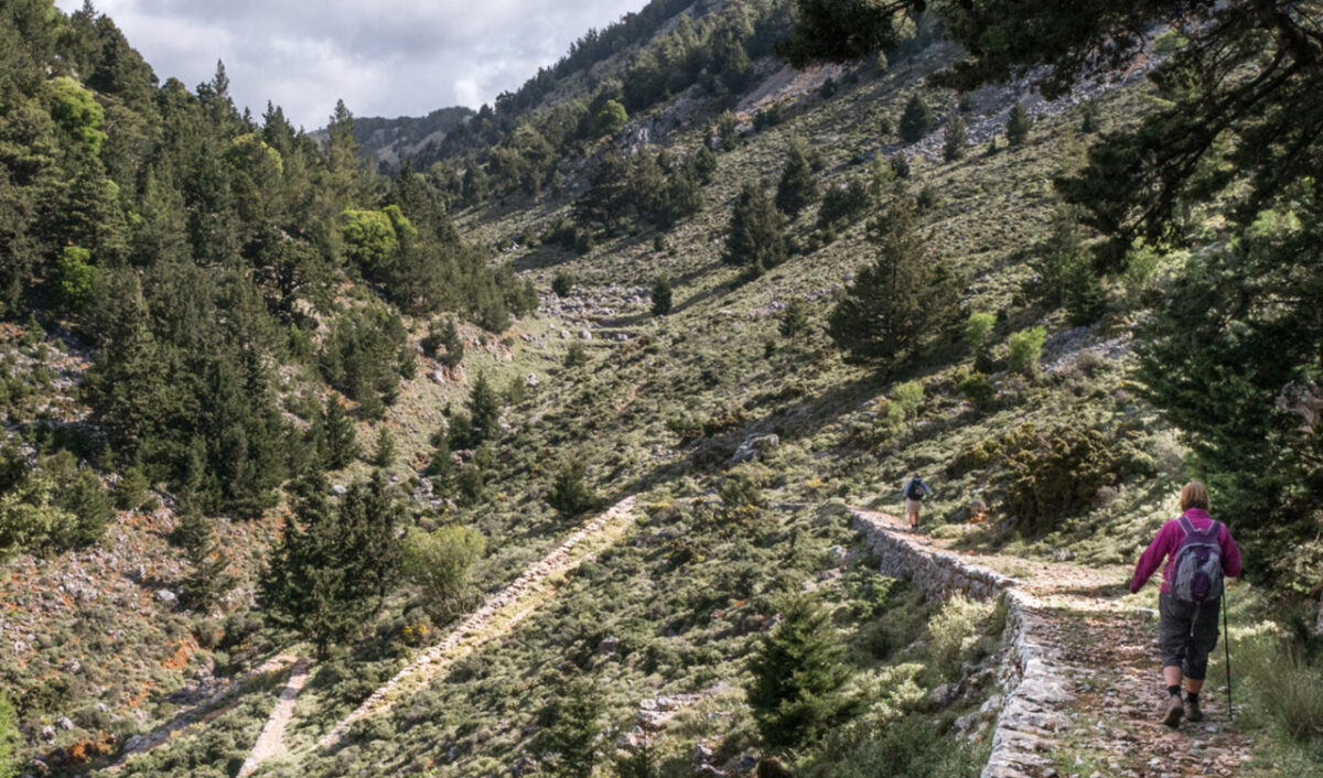 Την Ενετική Στράτα μέσω της οποίας γινόταν η σύνδεση των Χανίων με την επαρχία Σελίνου «ξαναστρώνει» ο δήμος Πλατανιά (φωτ.: ΑΠΕ-ΜΠΕ).