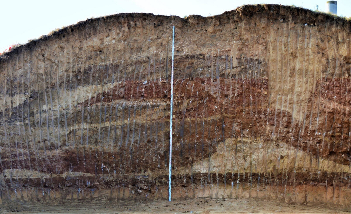 Ταφικός τύμβος Μεσιάς, τομή (φωτ.: ΥΠΠΟΑ).
