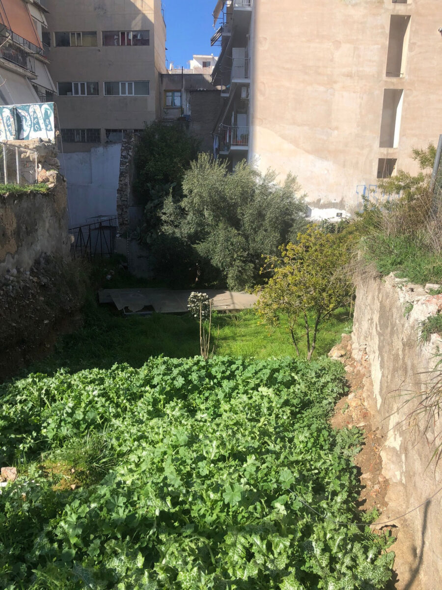 Ο χώρος γύρω από τη στεγασμένη ανασκαφή (φωτ.: ΥΠΠΟΑ).