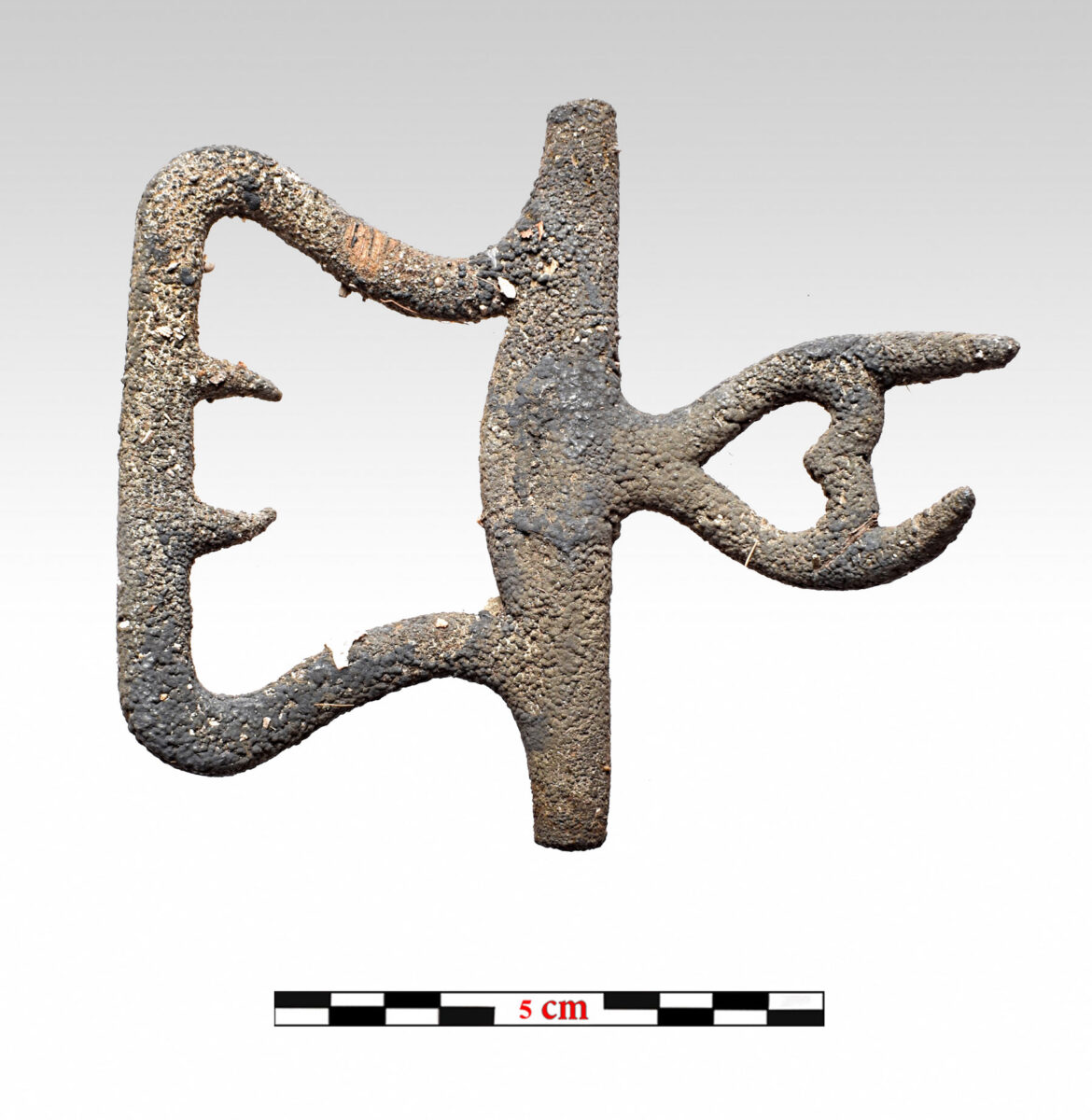 Μεταλλικό τμήμα πόρπης (φωτ.: Π. Βεζυρτζής).