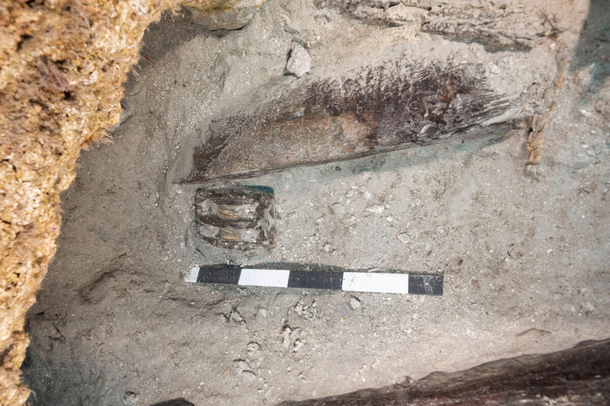 Ξύλινη διπλή τροχαλία και τμήμα νομέα του πλοίου στο χώρο της Τομής 2020 (φωτ.: Β. Τσιαΐρης).