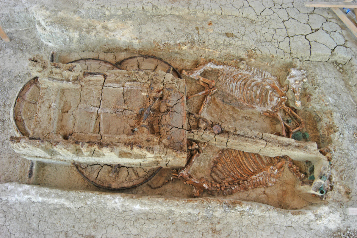 Η άμαξα Γ στη Μικρή Δοξιπάρα-Ζώνη (φωτ.: ΑΠΕ-ΜΠΕ / ΕΦΑ Έβρου, Δόμνα Τερζοπούλου).