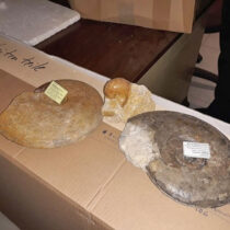 Ρέθυμνο: Ομογενής δώρισε συλλογή απολιθωμάτων