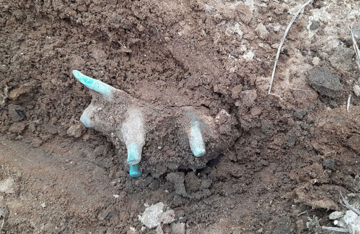 Το χάλκινο ειδώλιο ταύρου in situ αρχαιολογικό χώρο της Ολυμπίας (φωτ.: ΥΠΠΟΑ).