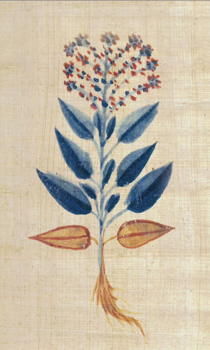 Η φύση στην τέχνη