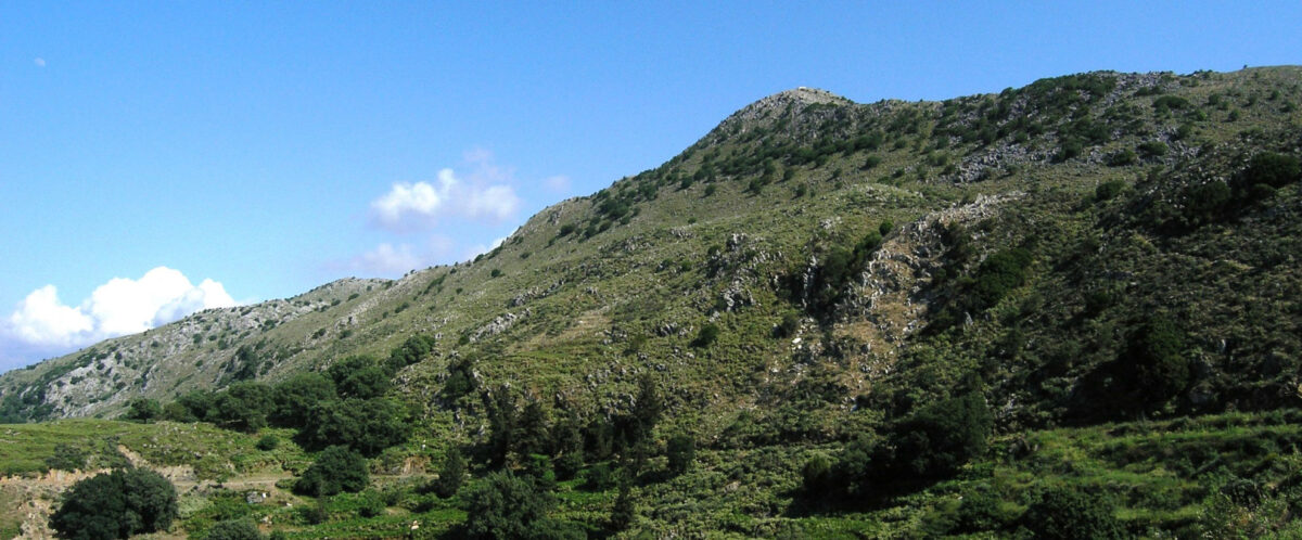 Η ακρώρεια του Βρύσινα.