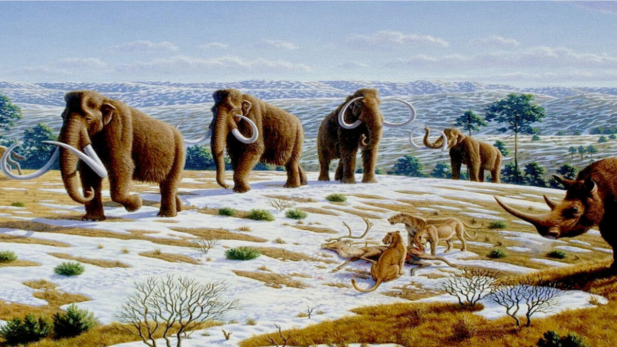 Εταιρεία βιοτεχνολογίας θέλει να αναδημιουργήσει τα μαλλιαρά μαμούθ