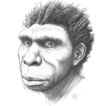 Homo bodoensis: ο νέος πρόγονος του ανθρώπου